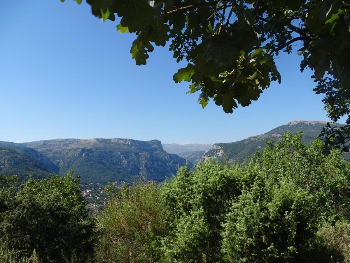 Luva D'Azur, Rez De Villa Le Riou - Le Vallon Le Bar-sur-Loup Esterno foto