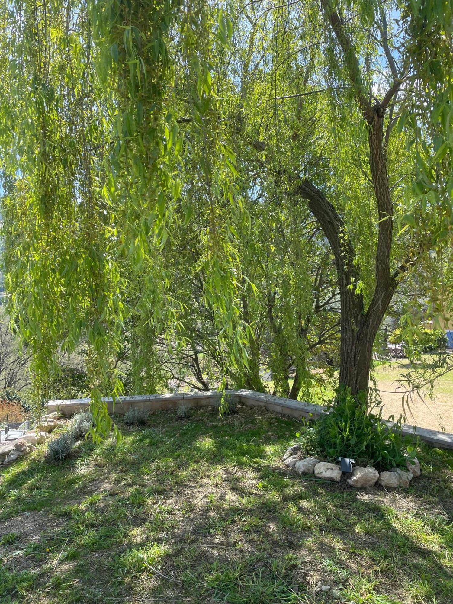 Luva D'Azur, Rez De Villa Le Riou - Le Vallon Le Bar-sur-Loup Esterno foto